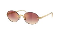 Sunglasses Ray-Ban 3929001/8H54